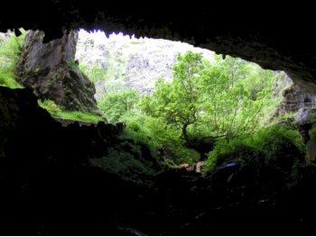 Entrada Cueva